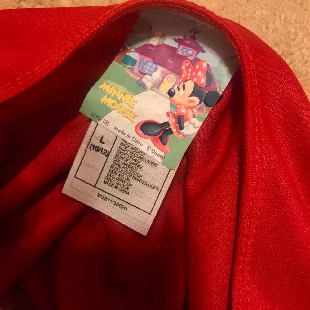 Minnie Mouse Costume